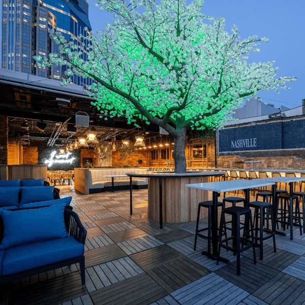 AVA Rooftop Grand Opening