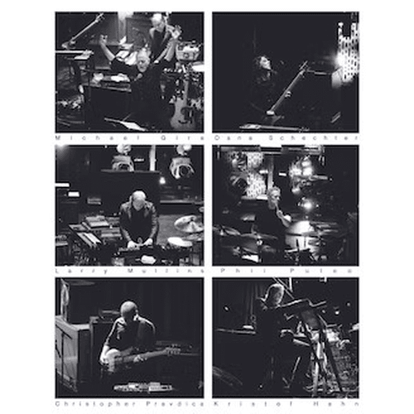 Swans
