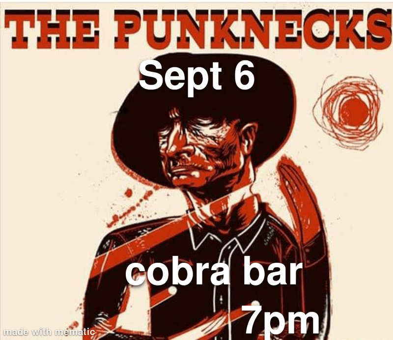 The Punknecks
