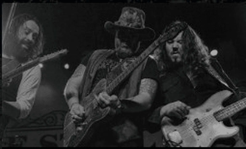 THE STEEL WOODS