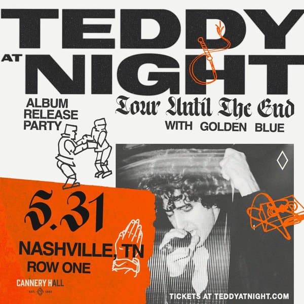 Teddy at Night