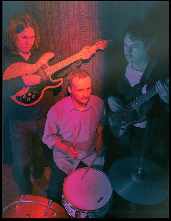 In The Pines: Painting By Numbers TOUR