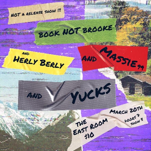 book NOT brooke / Massie / Herly Berly / Yucks