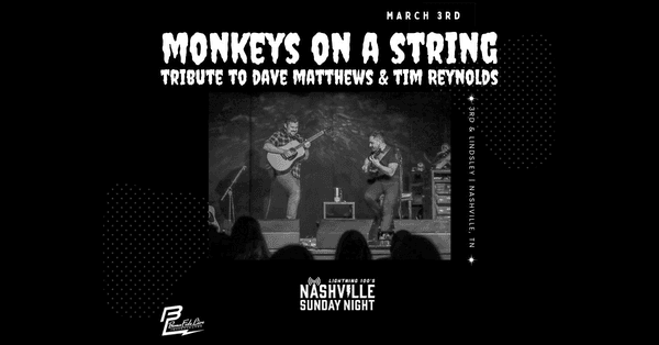 Monkeys on a String - A Tribute to Dave Matthews and Tim Reynolds