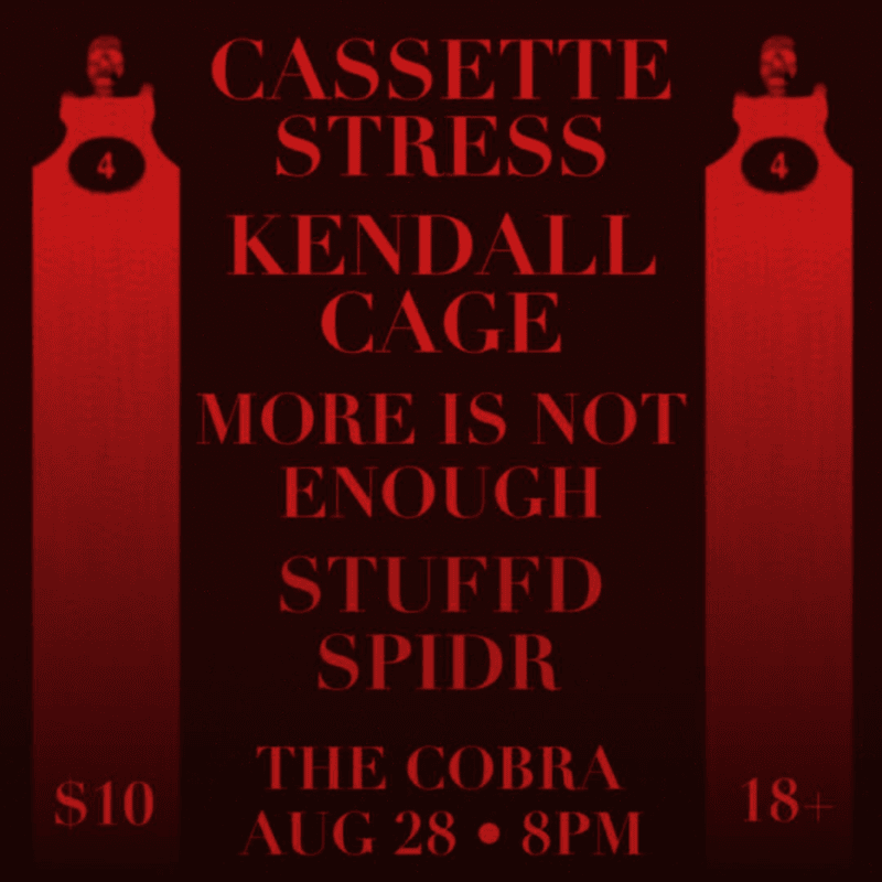 Cassette Stress // Kendall Cage // More Is Not Enough // Stuffd Spidr