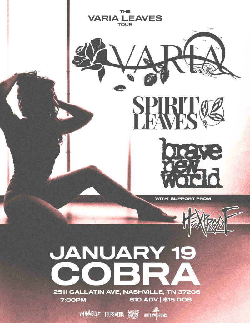 Varia // Spirit Leaves // Brave New World // Hexproof